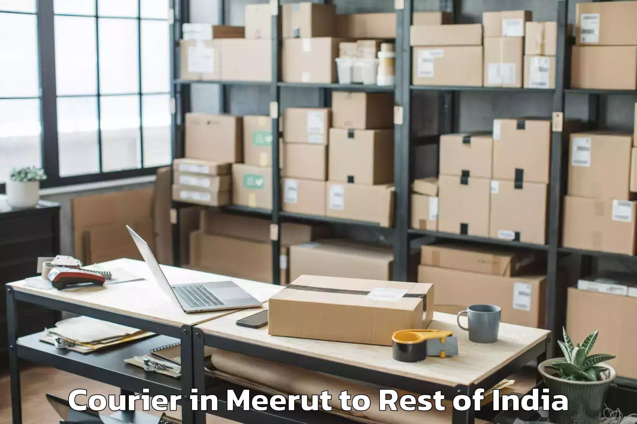 Affordable Meerut to Along Courier